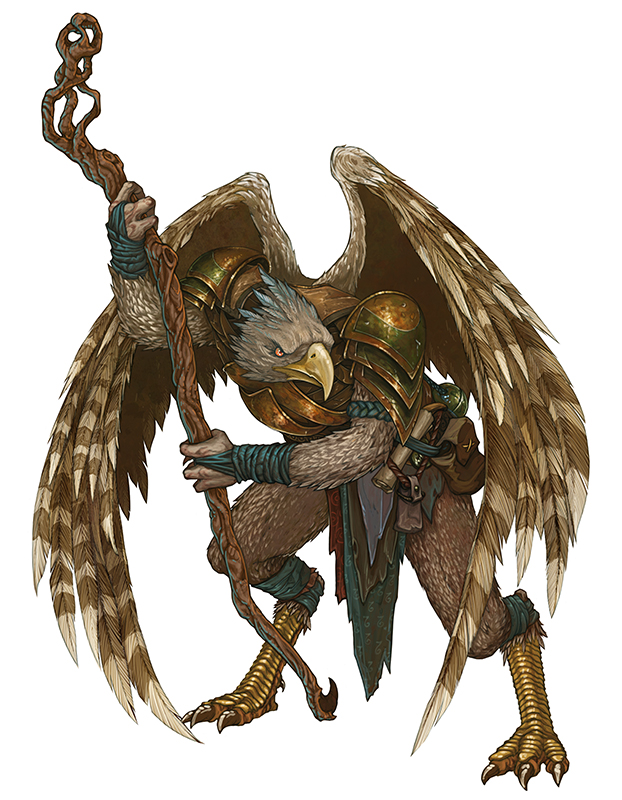 dungeons_and_dragons___aarakocra_sorcerer_by_leesmith-d9cce4o.jpg
