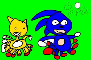 sanic_and_taels_go_fast_by_fimberarchive