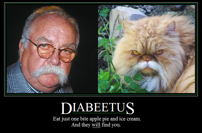 Image result for diabeetus cat wilford brimley