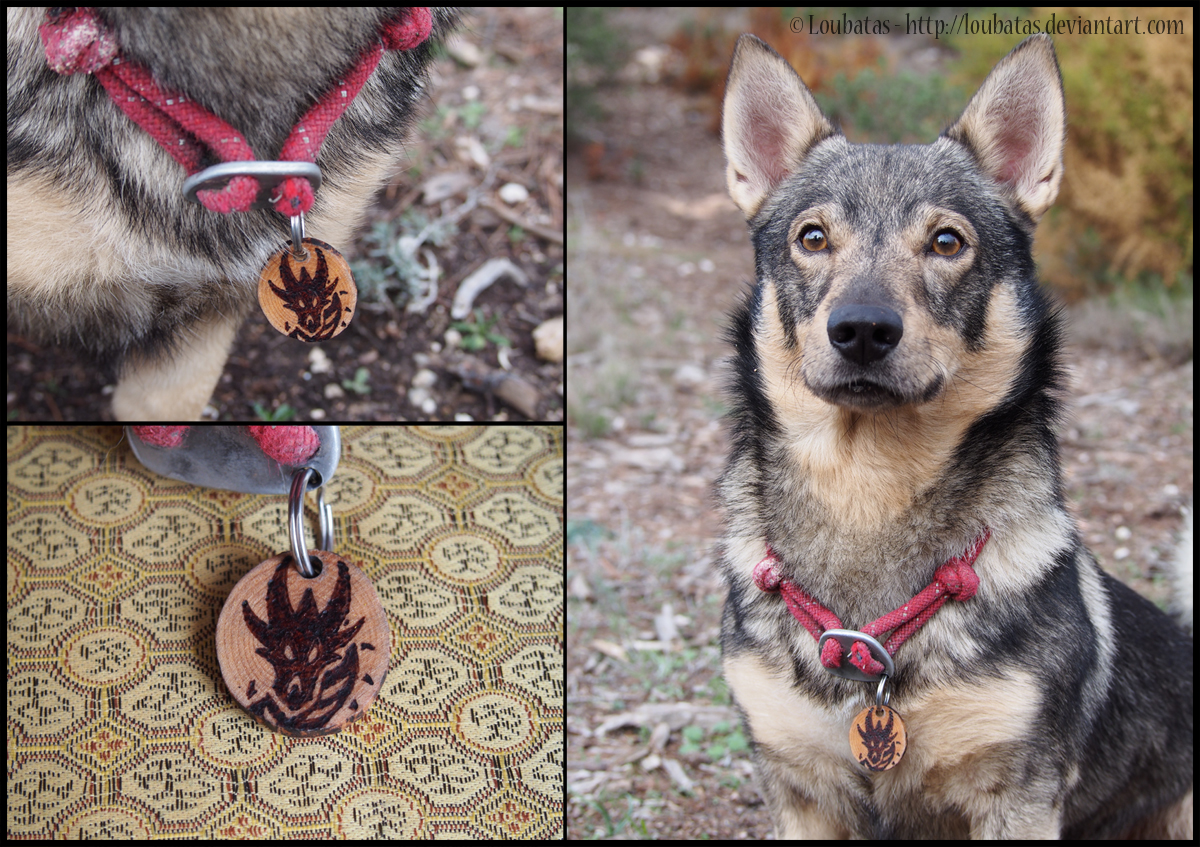 Médaille pour chien en bois Dogtag_dragon_by_loubatas-daqmhho