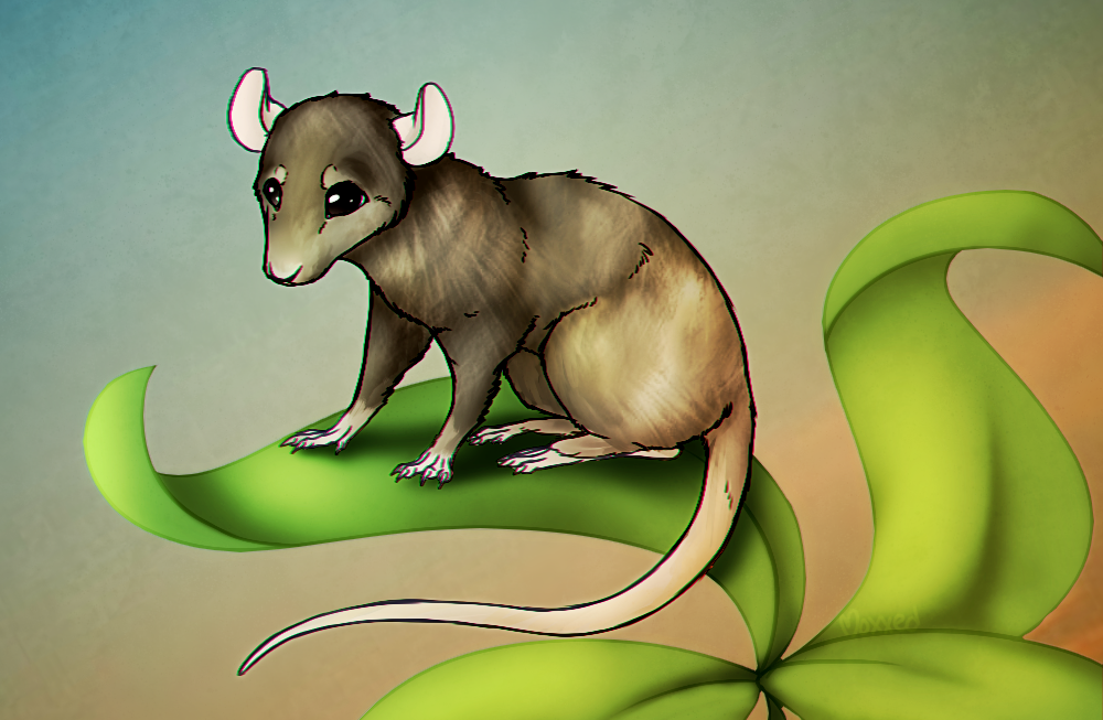 cm___new_rat_in_heaven_by_moxxed-d9hk07m.png