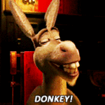 Donkey by Thiefoworld
