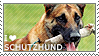I love Schutzhund by WishmasterAlchemist