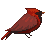 tunebird_by_auricolor_db8hl1d_by_auricolor-db8hl82.png
