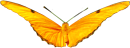 Flying butterfly 130px by EXOstock