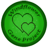windflower_projectongoing_by_lisegathe-db7a7pd.png