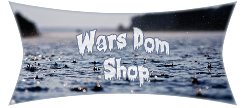 wars_dom_shop_by_silvermoon678-dakkqz9.png